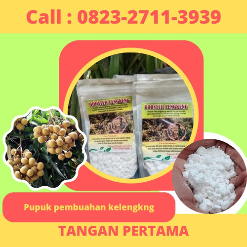 Klik https://wa.me/6282327113939 Pupuk Pembuahan Kelengkeng Di Kebumen, Pupuk Pembuahan Kelengkeng Di Polybag, Pupuk Pembuahan Kelengkeng Diamond, Pupuk Pembuahan Kelengkeng, Pupuk Pembuahan Kelengkeng Normal

PUPUK BOOSTER KELENGKENG adalah pupuk organik nutrisi komplek yang di formulasikan khusus untuk tanaman kelengkeng

BOOSTER KELENGKENG berfungsi untuk merangsang munculnya bunga/bakal buah pada tanaman kelengkeng yang sulit berbuah atau ingin dibuahkan
Cara penggunaan cek dikemasan

Manfaat booster kelengkeng : 
•Meningkatkan daya tahan tanaman terhadap hama
•Mempercepat proses pertumbuhan tanaman.
•Memacu serta menambah pembungaan serta pembuahan.
•Mengurangi kerontokan bunga serta buah.
•Membantu pertumbuhan tunas & pertumbuhan akar.