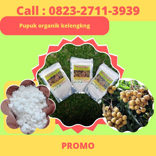 Klik https://wa.me/6282327113939 Pupuk Organik Kelengkeng, Pupuk Organik Untuk Kelengkeng, Pupuk Pembuahan Kelengkeng Di Kebumen, Pupuk Pembuahan Kelengkeng Di Polybag, Pupuk Pembuahan Kelengkeng Diamond

PUPUK BOOSTER KELENGKENG adalah pupuk organik nutrisi komplek yang di formulasikan khusus untuk tanaman kelengkeng

BOOSTER KELENGKENG berfungsi untuk merangsang munculnya bunga/bakal buah pada tanaman kelengkeng yang sulit berbuah atau ingin dibuahkan
Cara penggunaan cek dikemasan

Manfaat booster kelengkeng : 
•Meningkatkan daya tahan tanaman terhadap hama
•Mempercepat proses pertumbuhan tanaman.
•Memacu serta menambah pembungaan serta pembuahan.
•Mengurangi kerontokan bunga serta buah.
•Membantu pertumbuhan tunas & pertumbuhan akar.