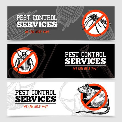 Best Pest Control Services in Noida- 24x7pestcontrol.com.jpg