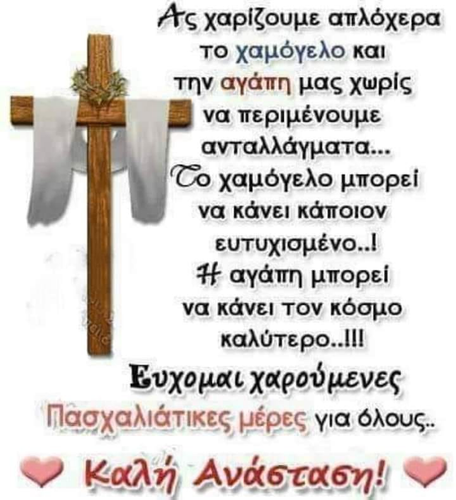 336361129 260768536288326 2740164243058837551 n.png