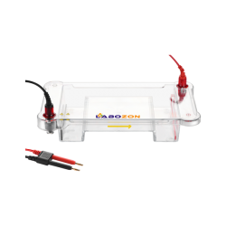 Horizontal Electrophoresis LZ HES A100 250x250.png