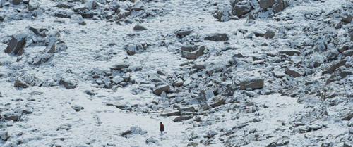 Belle.et.Sébastien.Nouvelle.génération.2022.BluRay.Pad.1080p.AAC.x265 10bit HDSPad.mp4 20230414 1824.png