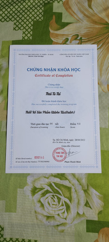 chứng nhận illustrator.jpg