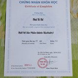chứng nhận illustrator