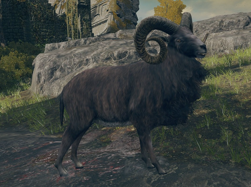 Goat2.png