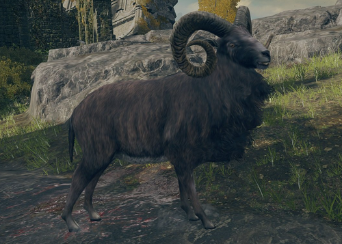 Goat2.png