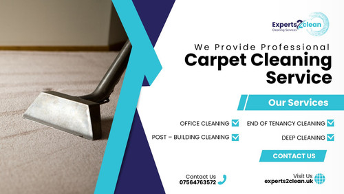 Carpet cleaning service (2).jpg