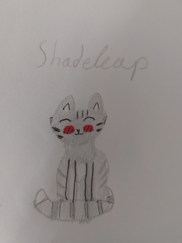Shadeleap.jpg