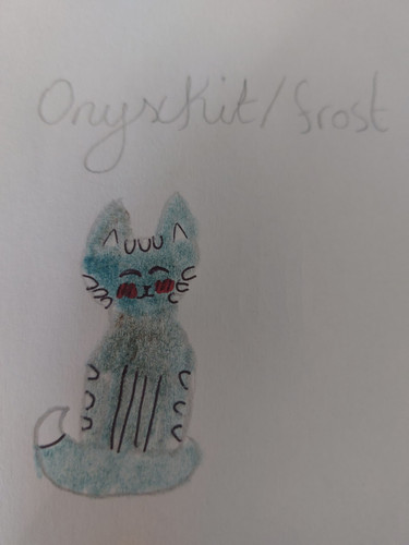 Onyxkit.jpg
