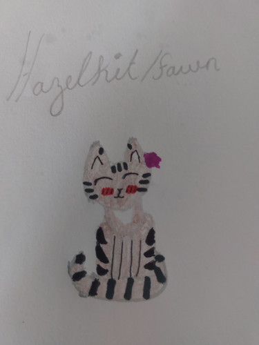 Hazelkit.jpg
