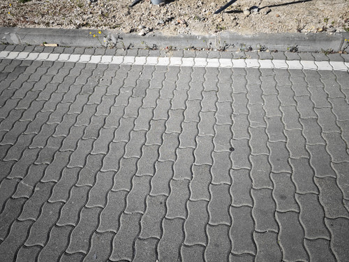 IMG 20230421 090824.jpg