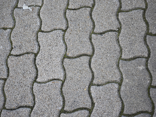 IMG 20230203 074656.jpg