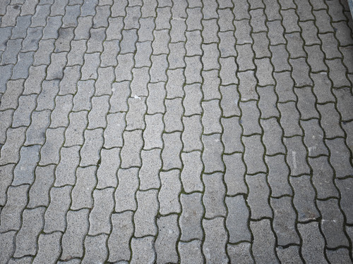 IMG 20230203 074658.jpg