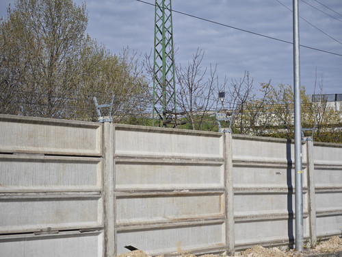 IMG 20230203 074650.jpg