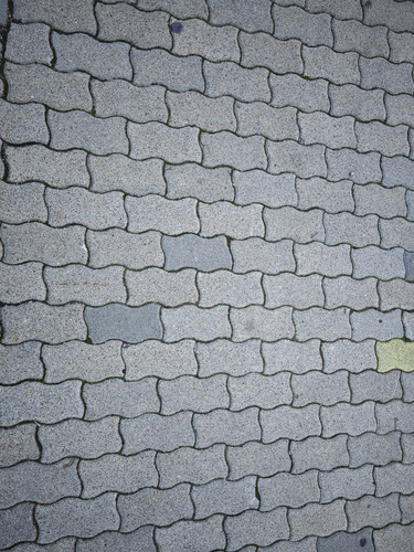 IMG 20230203 074642.jpg