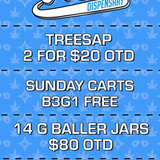 VICETEXTFLYERSPRINGBIG1