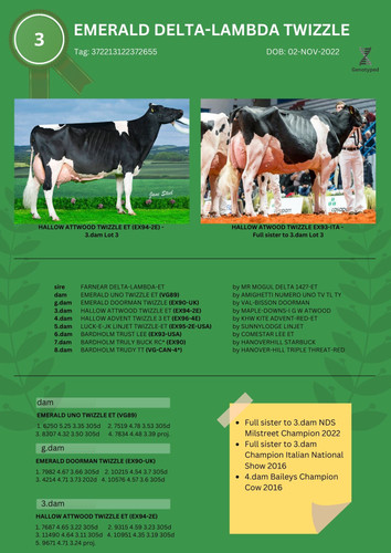 Lot 3 (1).jpg