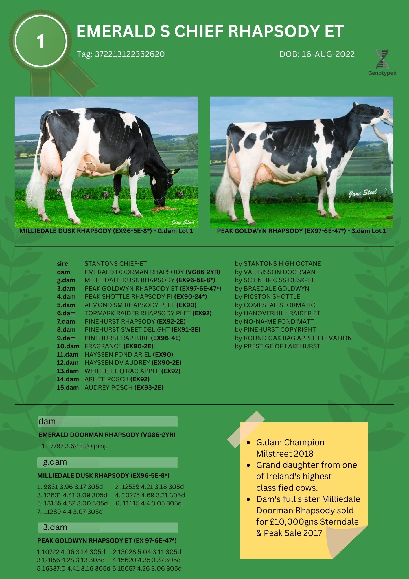 Lot 1 (6)