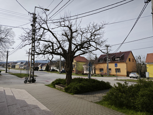 IMG 20230406 102315.jpg