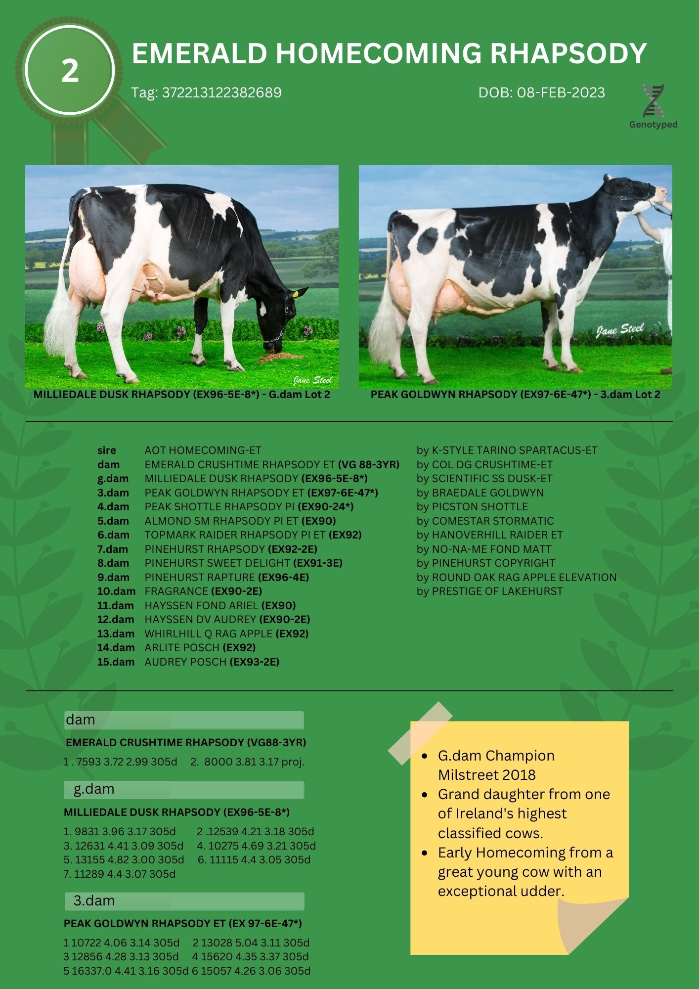 Lot 2 (3)