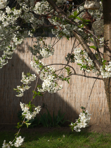 IMG 20230416 171322 Arcide LMC8 4 v1 8.jpg