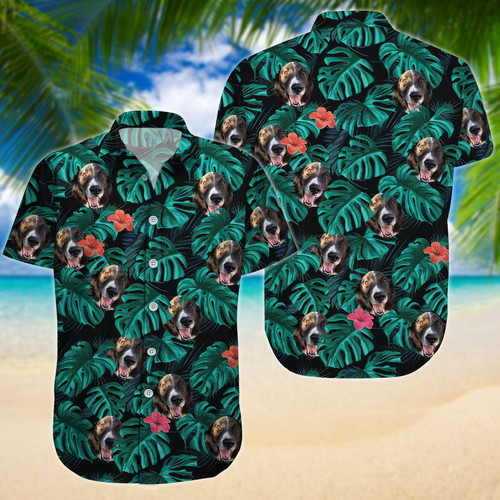 Main LNG202205R01.jpg