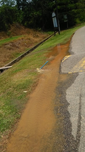 WhatsApp Image 2023 04 17 at 2.42.07 PM.jpg