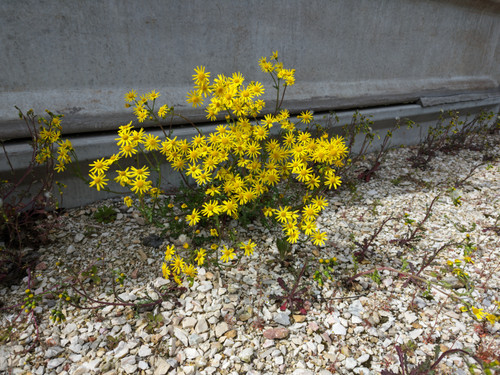 AGC 20230417 121319912.jpg