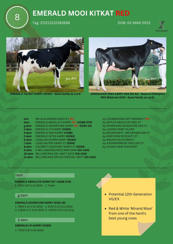 Emerald Mooi KitKat Red Lot 8.jpg