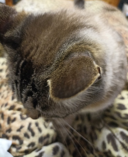 IMG 20230418 234951.jpg