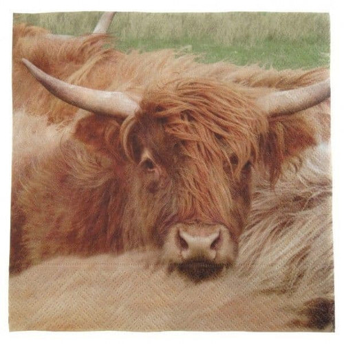 highland cow 3 ply paper napkins ap2119 6038 p.jpg
