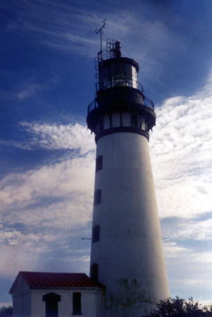 desw1.jpg