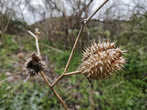 IMG 20230416 155429.jpg