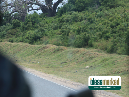 Blessmarked Malindi 25.1.20203.png