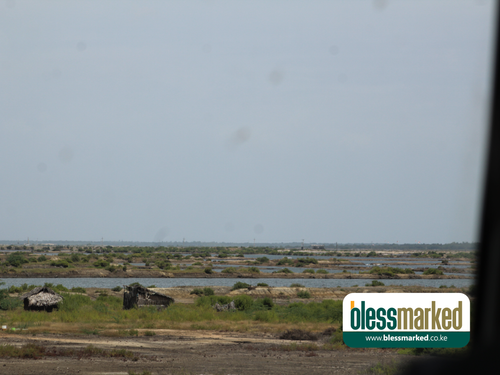 Blessmarked Malindi 25.1.20205.png