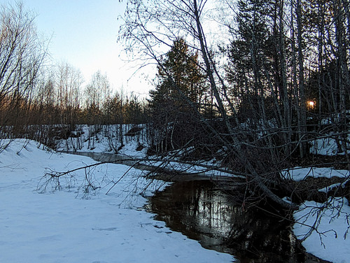 PXL 20230414 9.jpg