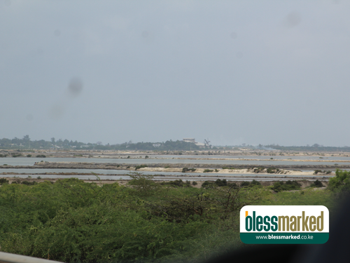 Blessmarked Malindi 25.1.20208.png