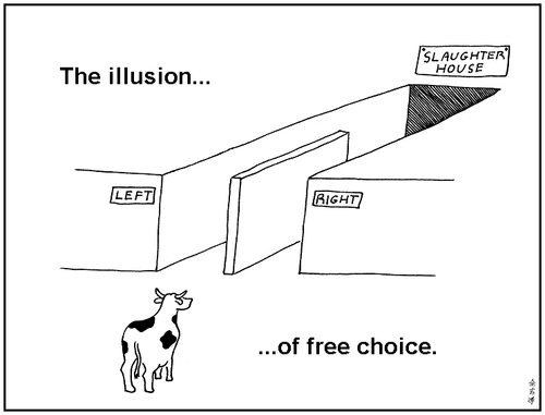 the illusion of free choice.png