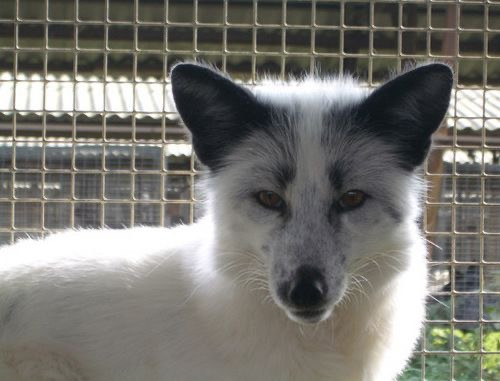 FDCB1253 874F 43A7 BA3B B1BD91DDCA63.jpg