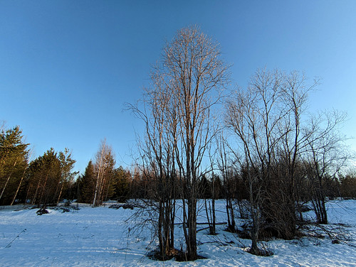 PXL 20230414 6.jpg
