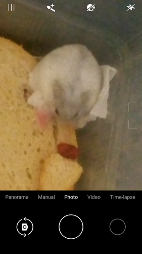 Screenshot 20230421 125217.png