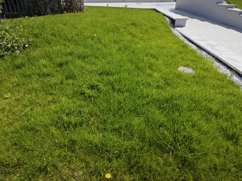 IMG 20230421 104608.jpg