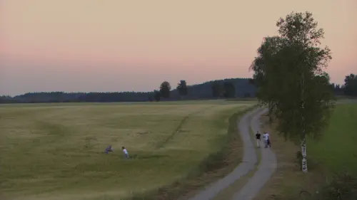 vlcsnap 2023 04 18 22h17m26s231.webp