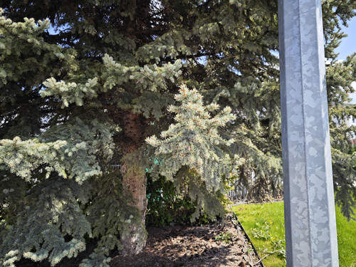 IMG 20230421 113909.jpg