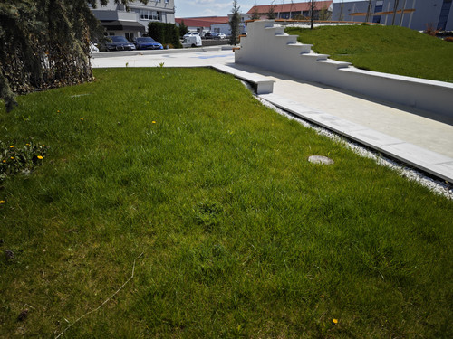 IMG 20230421 113859.jpg