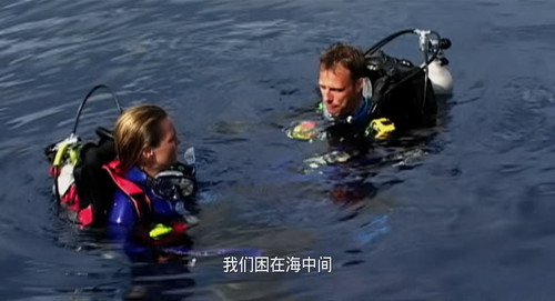 Open.Water.2003.BluRay.Pad.1080p.AAC.x265 10bit HDSPad.mp4 20230421 220733.007.jpg