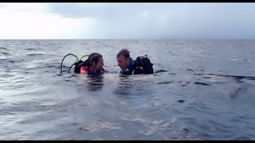 Open.Water.2003.BluRay.REMUX.1080p.AVC.DTS HD.MA5.1 HDS.mkv 20230421 220857.536.jpg