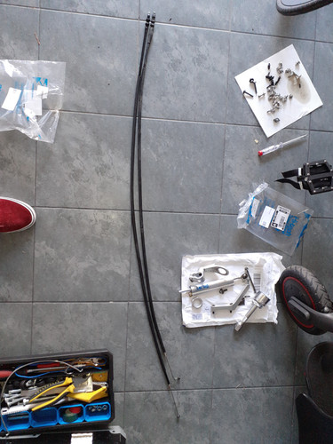 IMG 20230421 151921.jpg