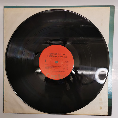 IMG 20230421 135439.jpg