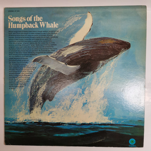 IMG 20230421 135421.jpg